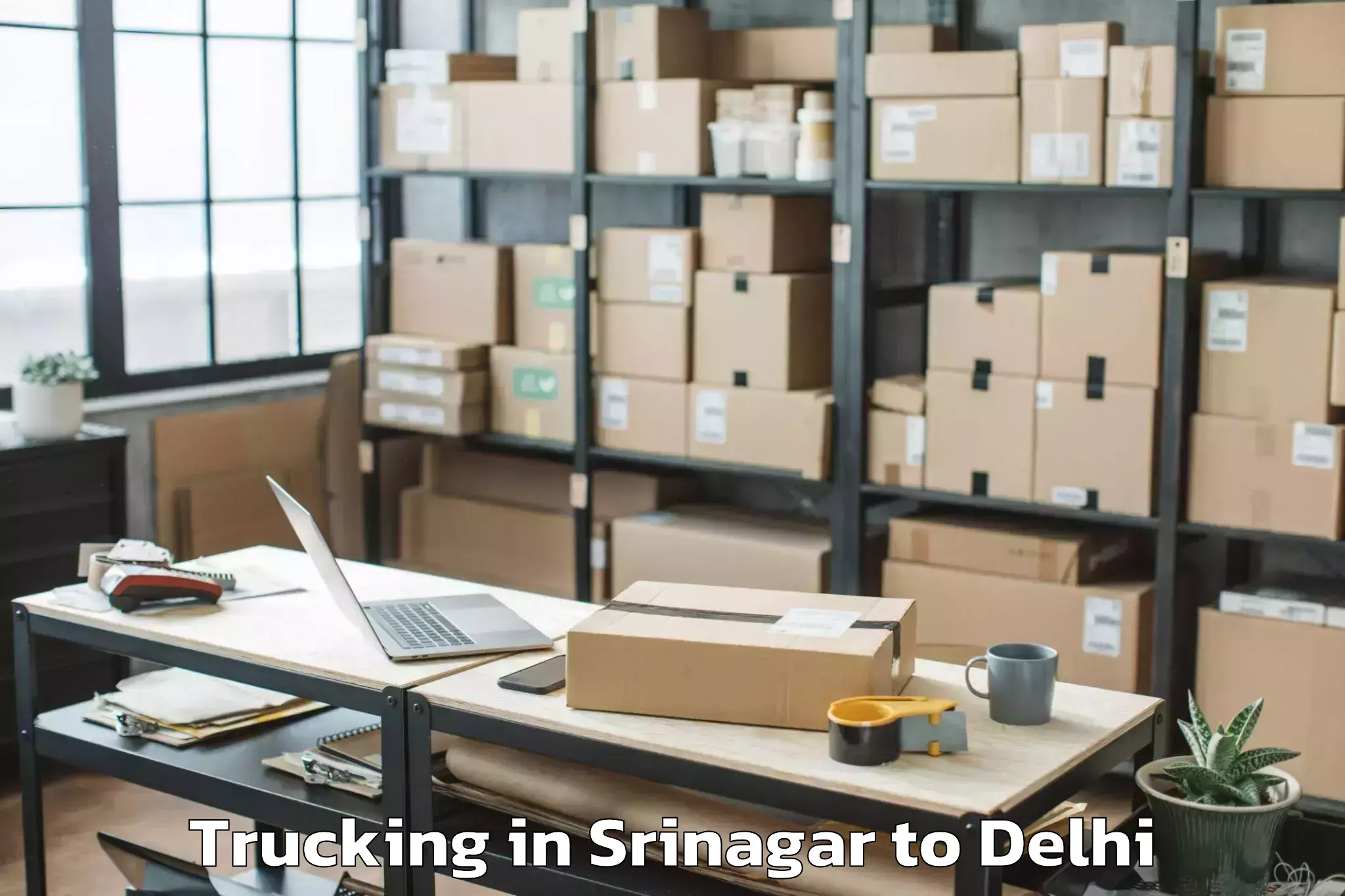 Top Srinagar to Aggarwal City Mall Pitampura Trucking Available